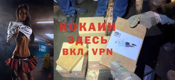 ПСИЛОЦИБИНОВЫЕ ГРИБЫ Арсеньев