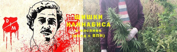 ПСИЛОЦИБИНОВЫЕ ГРИБЫ Арсеньев