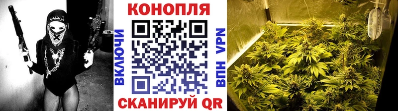 цены наркотик  Лаишево  Канабис семена 